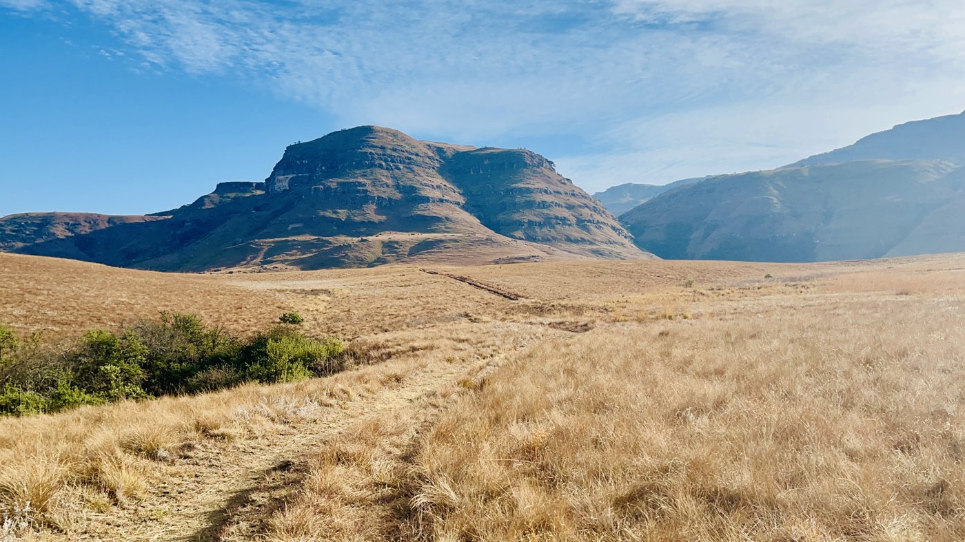 South African landscape